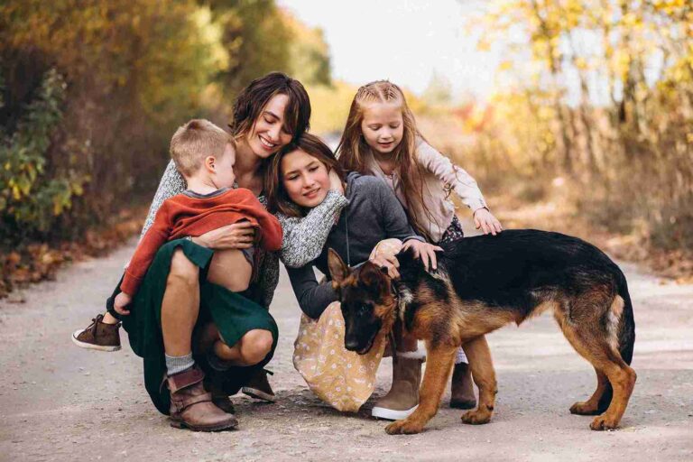 Why German Shepherds Make Great Family Pets